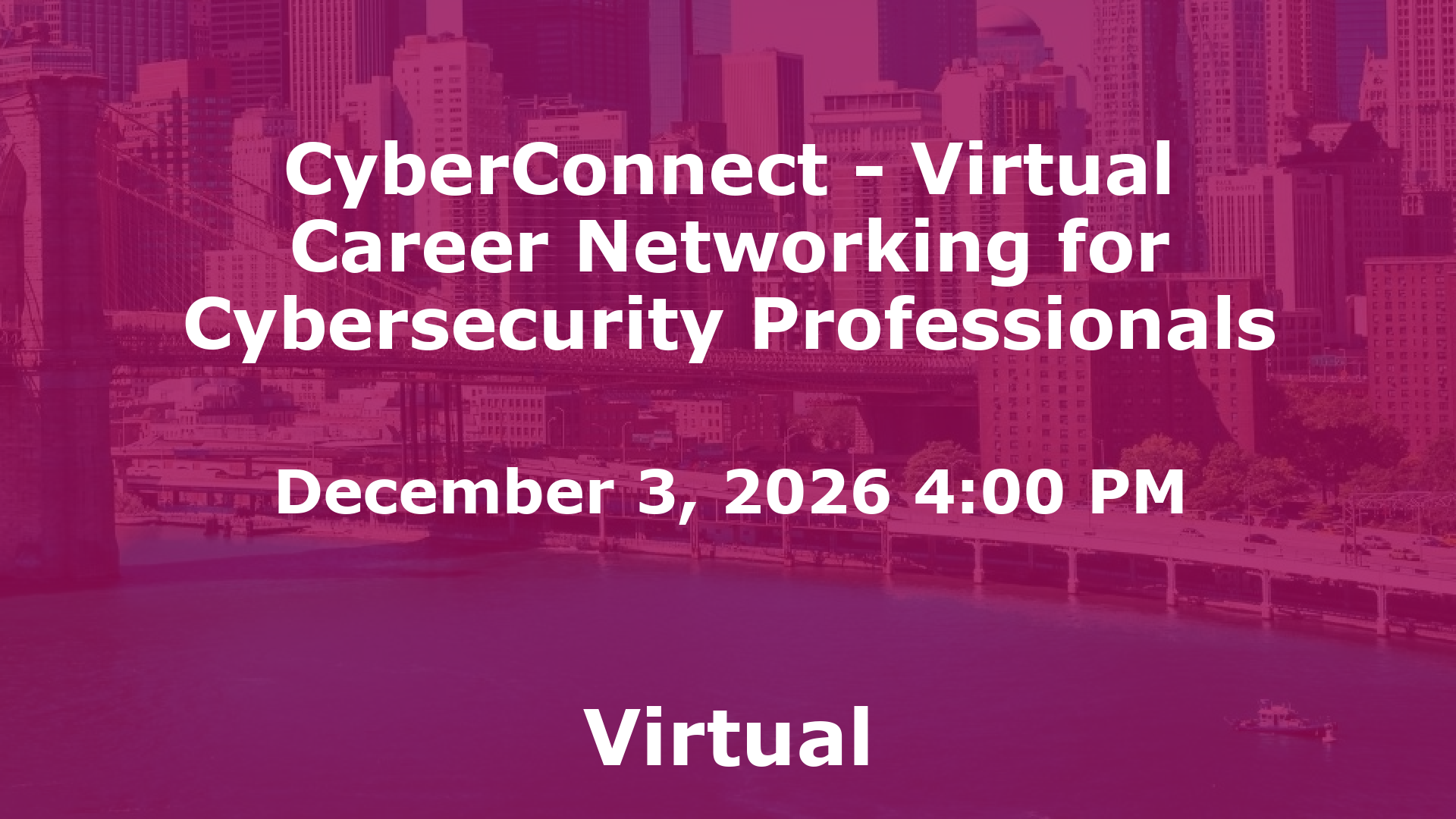 CyberConnect - Virtual Career Networking for Cybersecurity Professionals event image